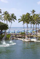 Dolphins jumping at Kahala Hotel