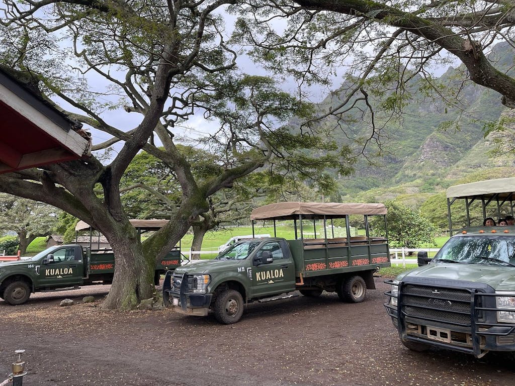 jungle expedition tour Oahu