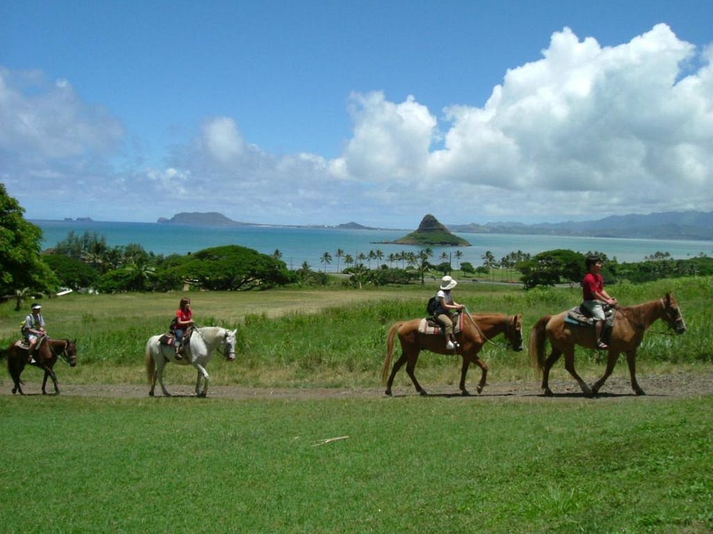 Horseback Riding Kualoa Ranch