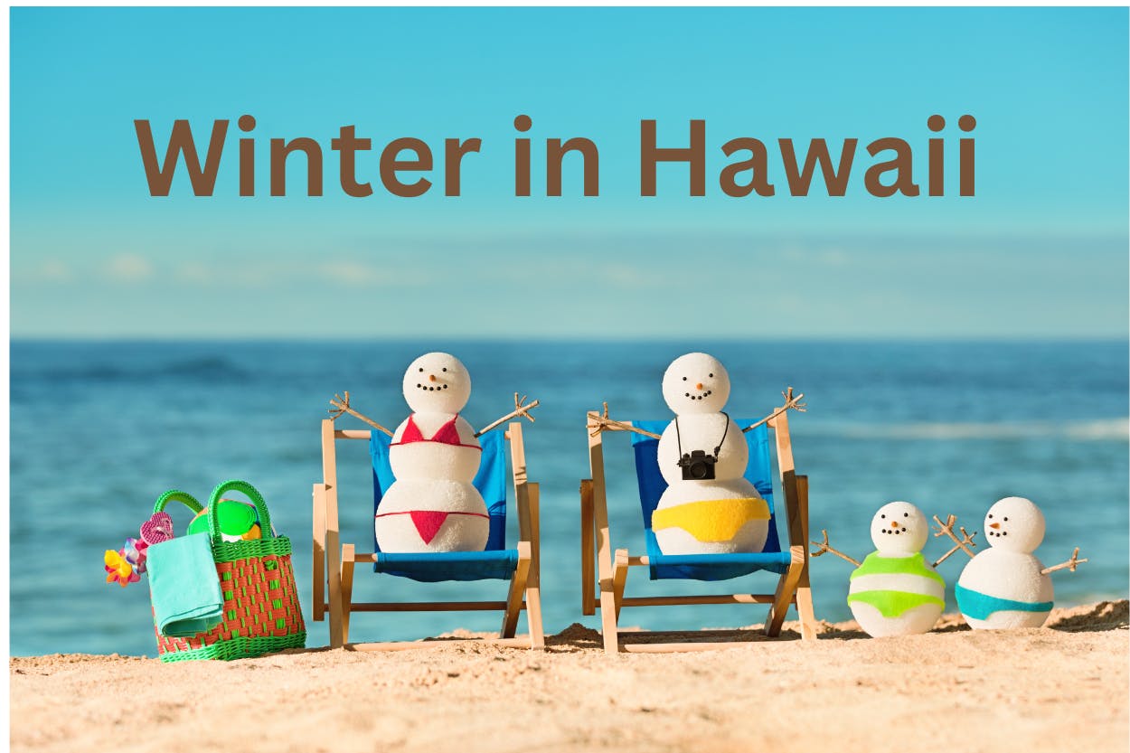 winter in hawaii