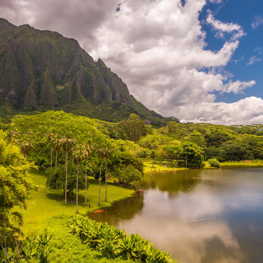 Hoʻomaluhia Botanical Garden Lake