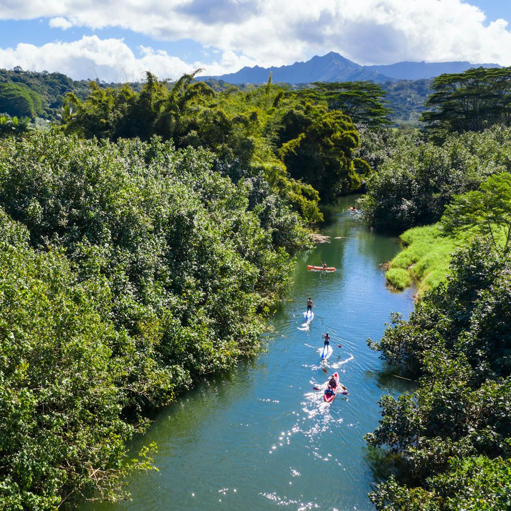 Kayak kauai hanalei river