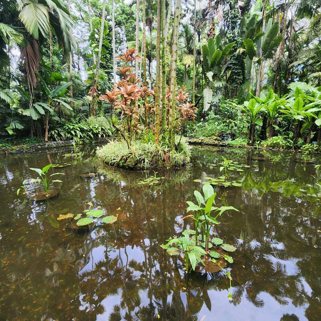 Hilo Botanical Gardens