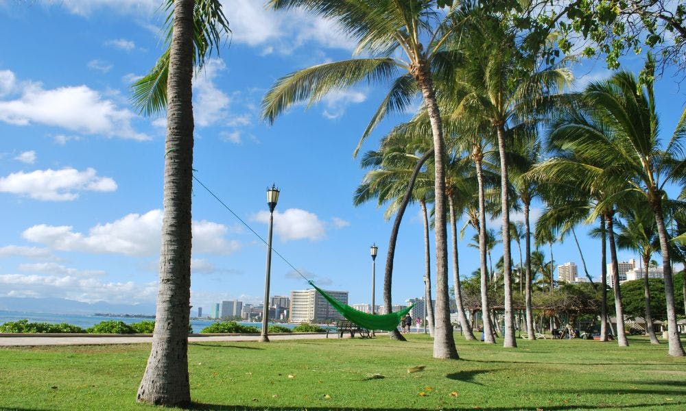 Kapiolani Park in Waikiki