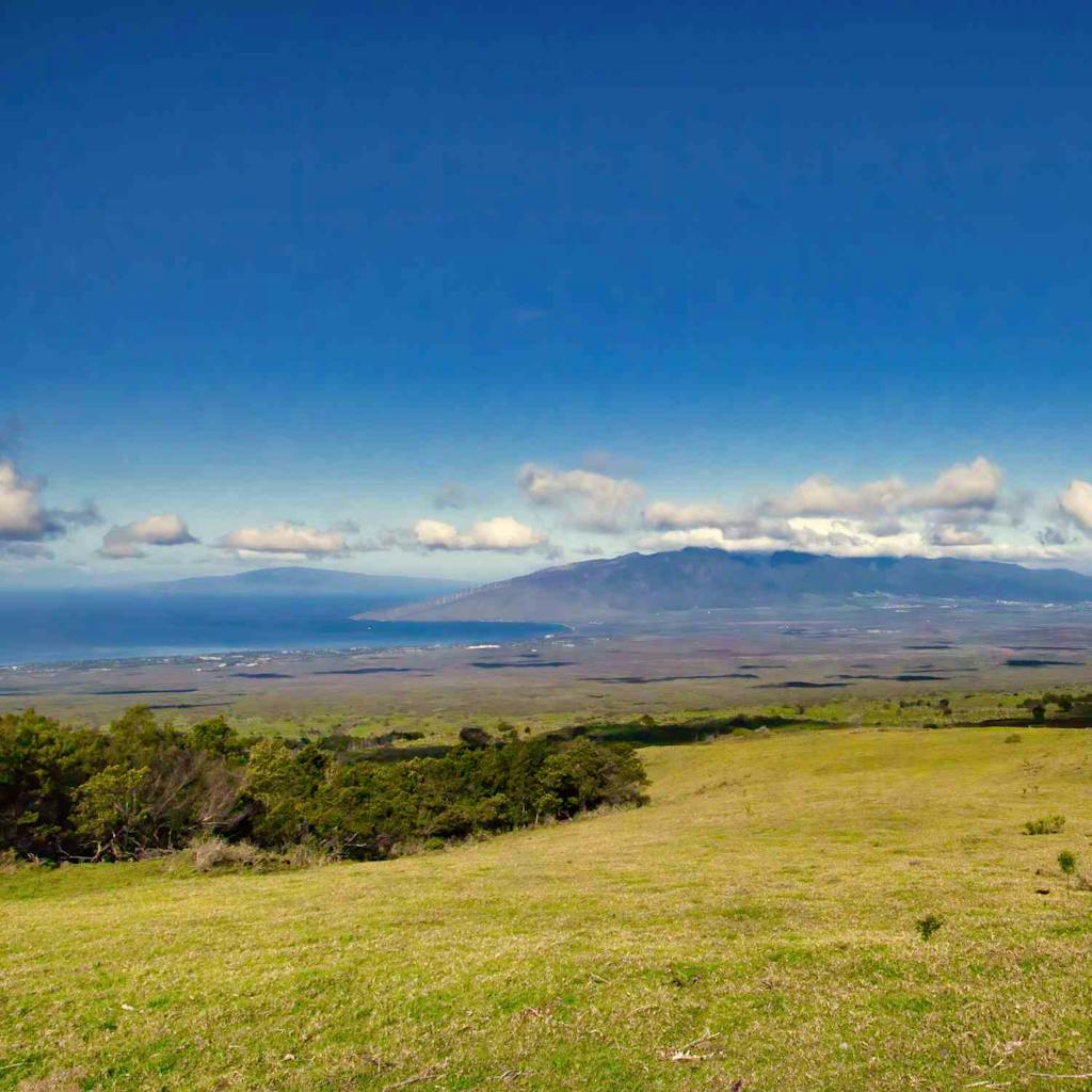 Upcountry Maui views