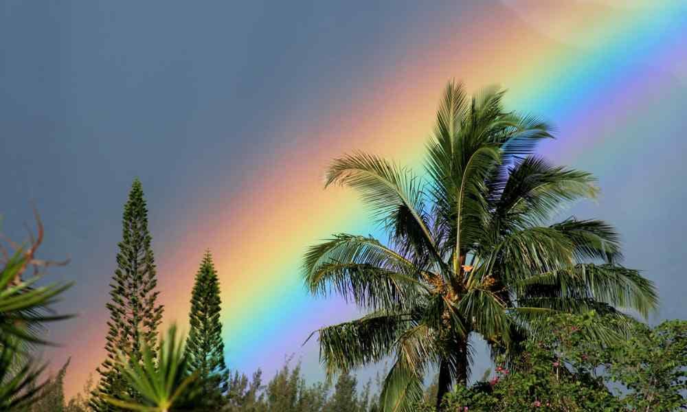 Rainbow during Rainy season in Hawaii