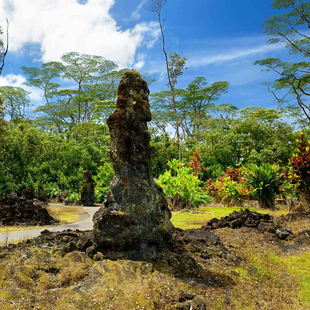 Lava tree state monument