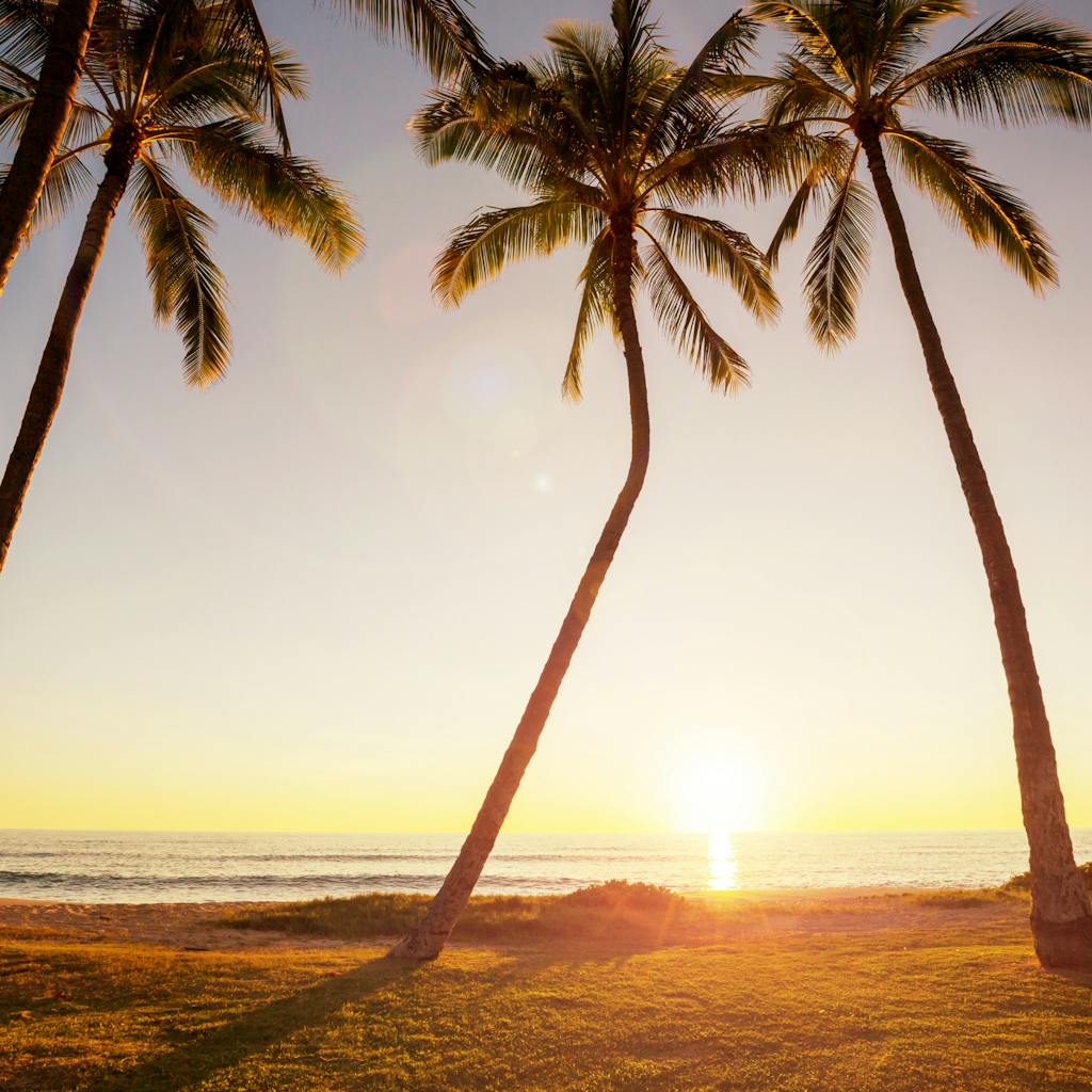 best time to visit hawaii to avoid crowds (1)