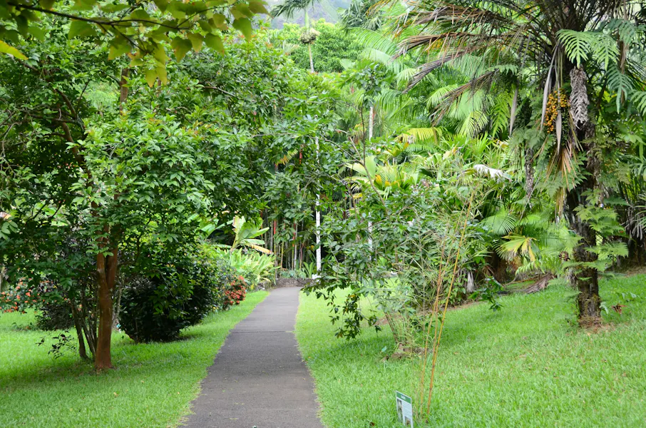 Hoʻomaluhia-Botanical-Garden-6