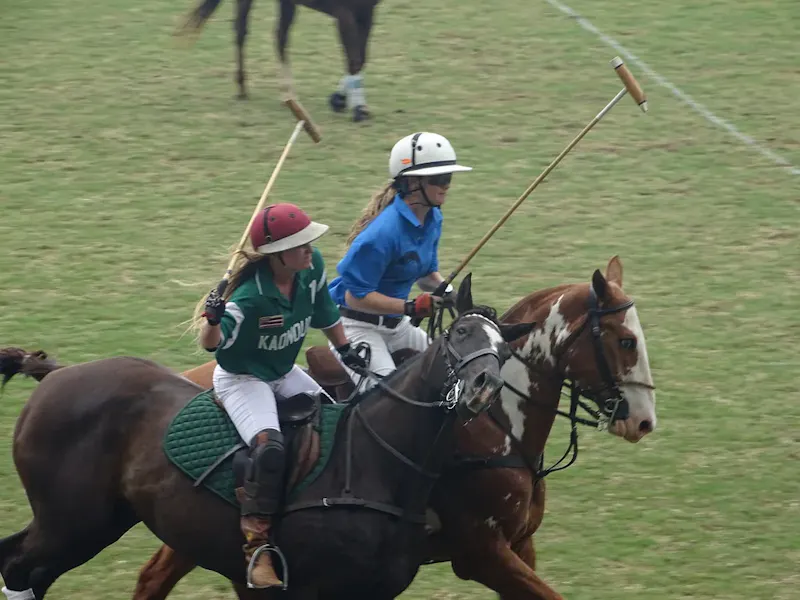 polo-hawaii