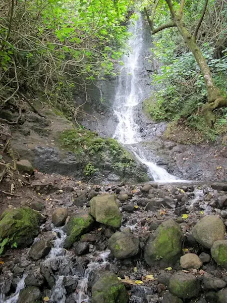 tall-waterfall-stream