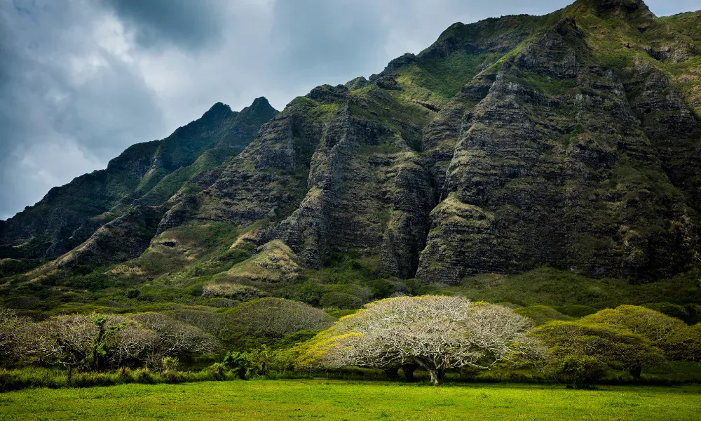 movies filmed in Hawaii